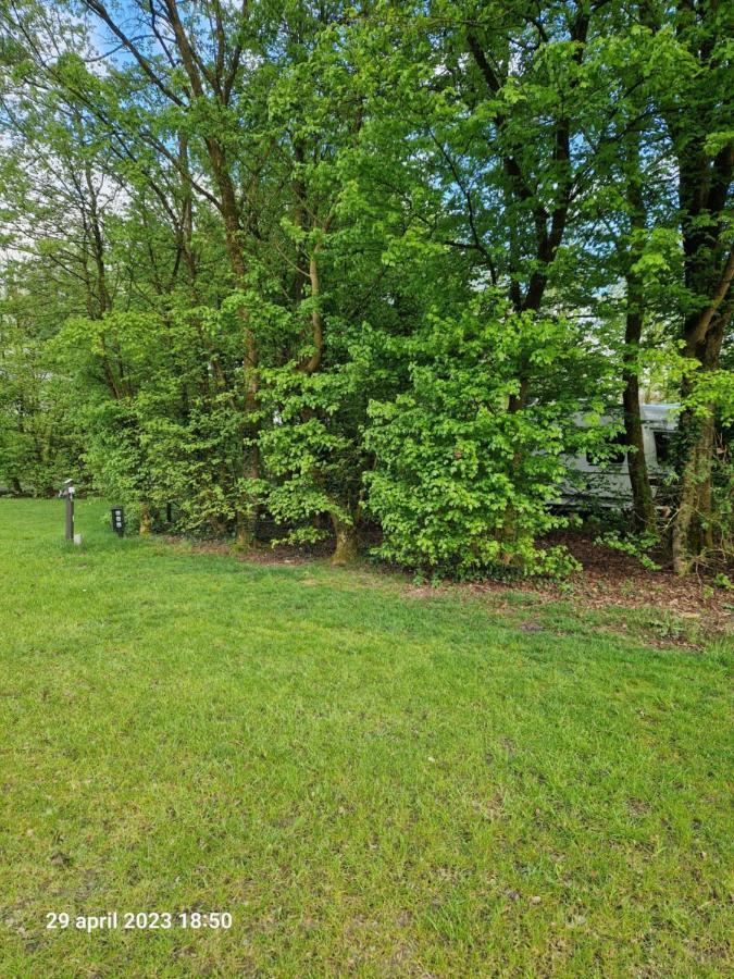 Camping Alkenhaer Appelscha Lege Kampeerplaats Exterior photo